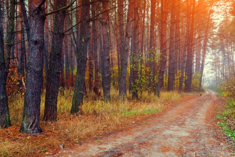 rutas en otoño